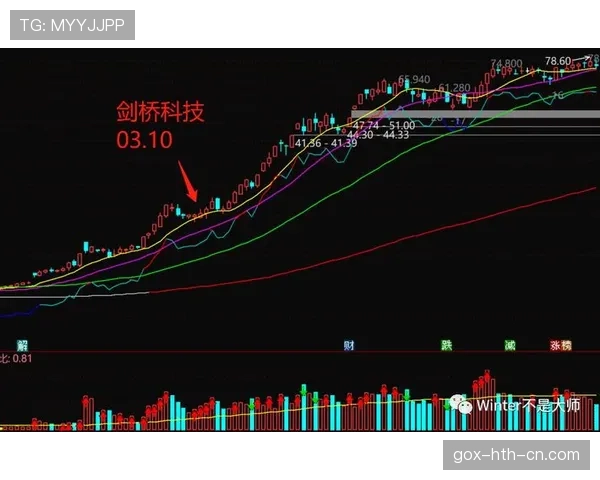 贝利回撤接应如何重塑进攻体系并激活全队战术协同