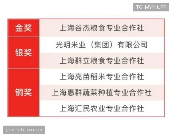 厄德高逆袭之路：从早熟天才到重新证明自己的关键转折解析